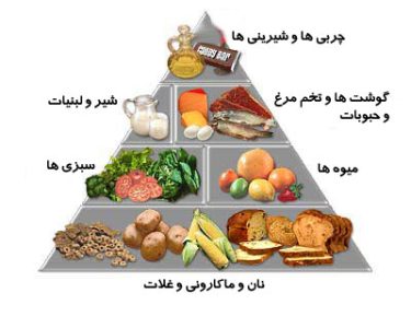 گروه های غذایی